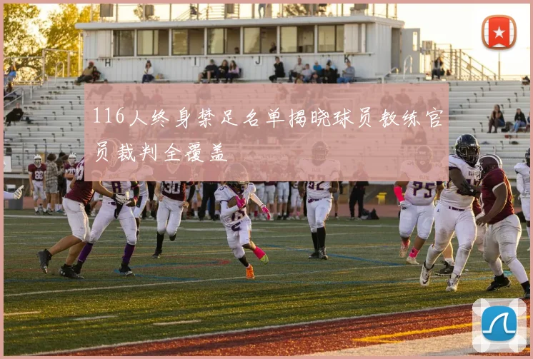 116人终身禁足名单揭晓球员教练官员裁判全覆盖